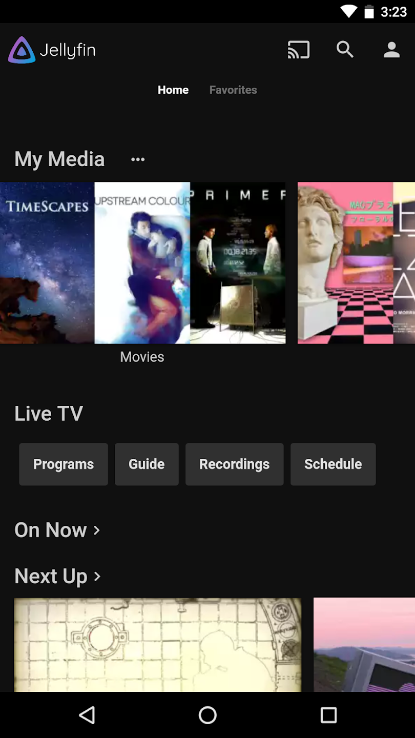 Jellyfin Interface